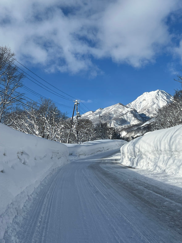 Whiteroom Myoko. 7 Night Stays with Hire Car Included.